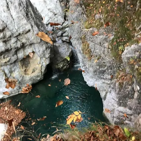 Bujtina Zici