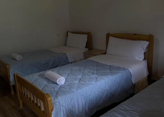 Bujtina Ziçi Casa de hóspedes