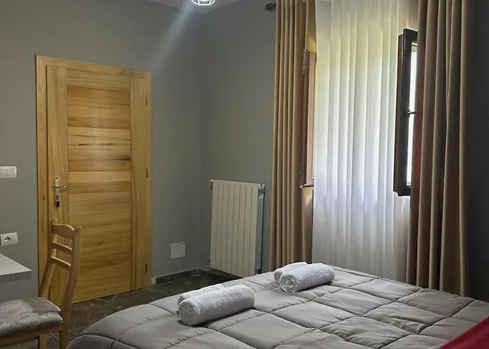 Bujtina Ziçi