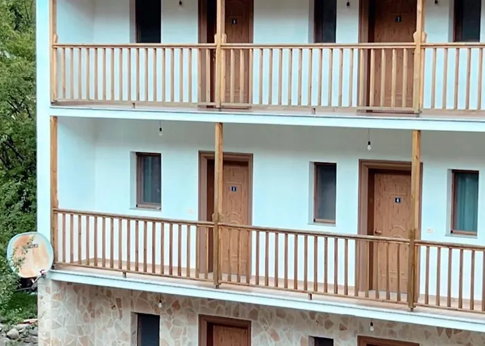 Casa de hóspedes Bujtina Ziçi 4*