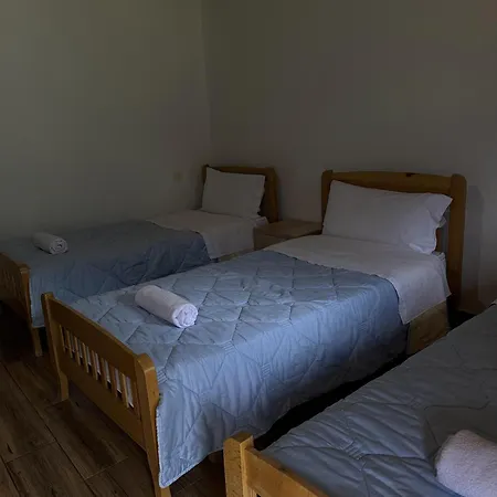 Bujtina Zici Guest house