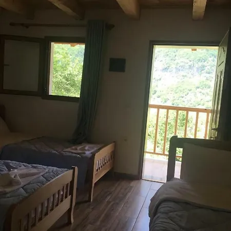 Bujtina Zici