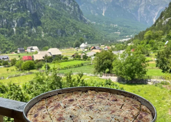Bujtina Zici 4* 泰斯