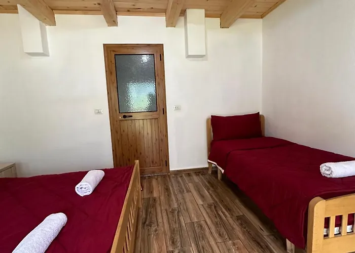 Bujtina Zici