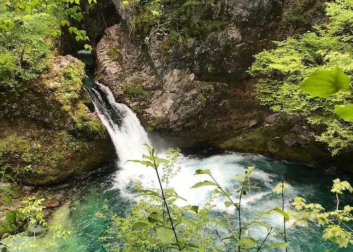 Bujtina Zici 4* 泰斯