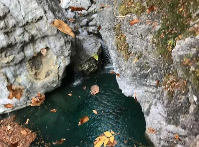 Bujtina Zici
